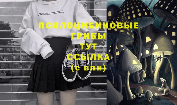 индика Верхнеуральск